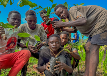 RDC : Les forêts communautaires sécurisent 1,2 millions d’hectares de terres paysannes