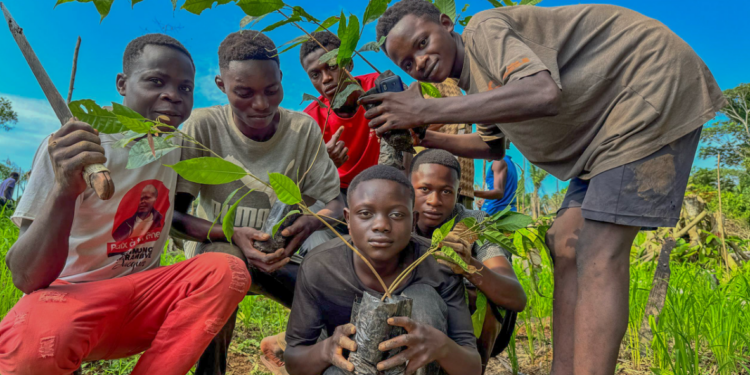 RDC : Les forêts communautaires sécurisent 1,2 millions d’hectares de terres paysannes
